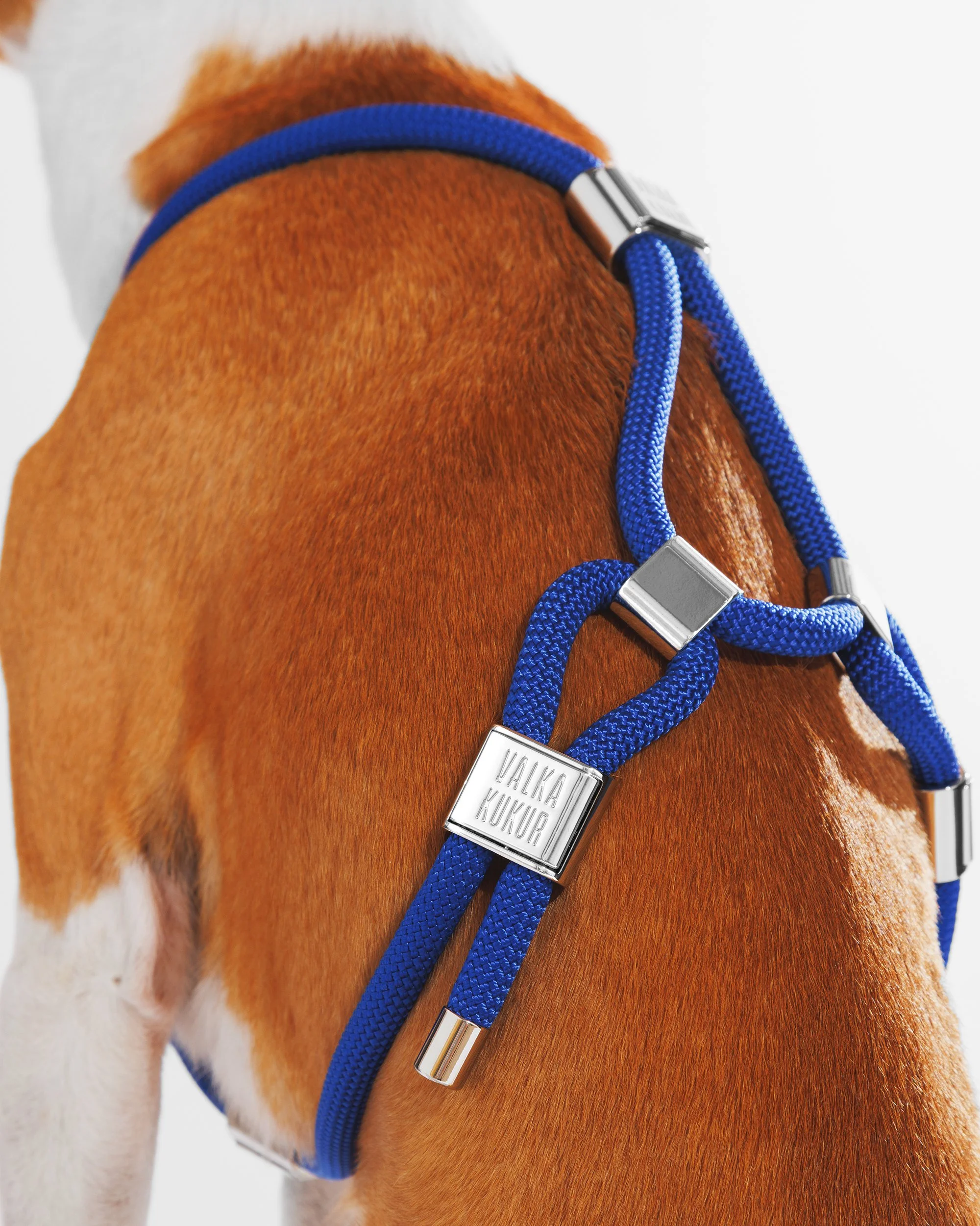 cord harness for dogs — VALKA KUKUR Modern sophsticated leashes